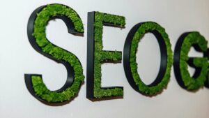 Mur sur fond blanc avec 3 lettres végétalisées de couleur verte : SEO